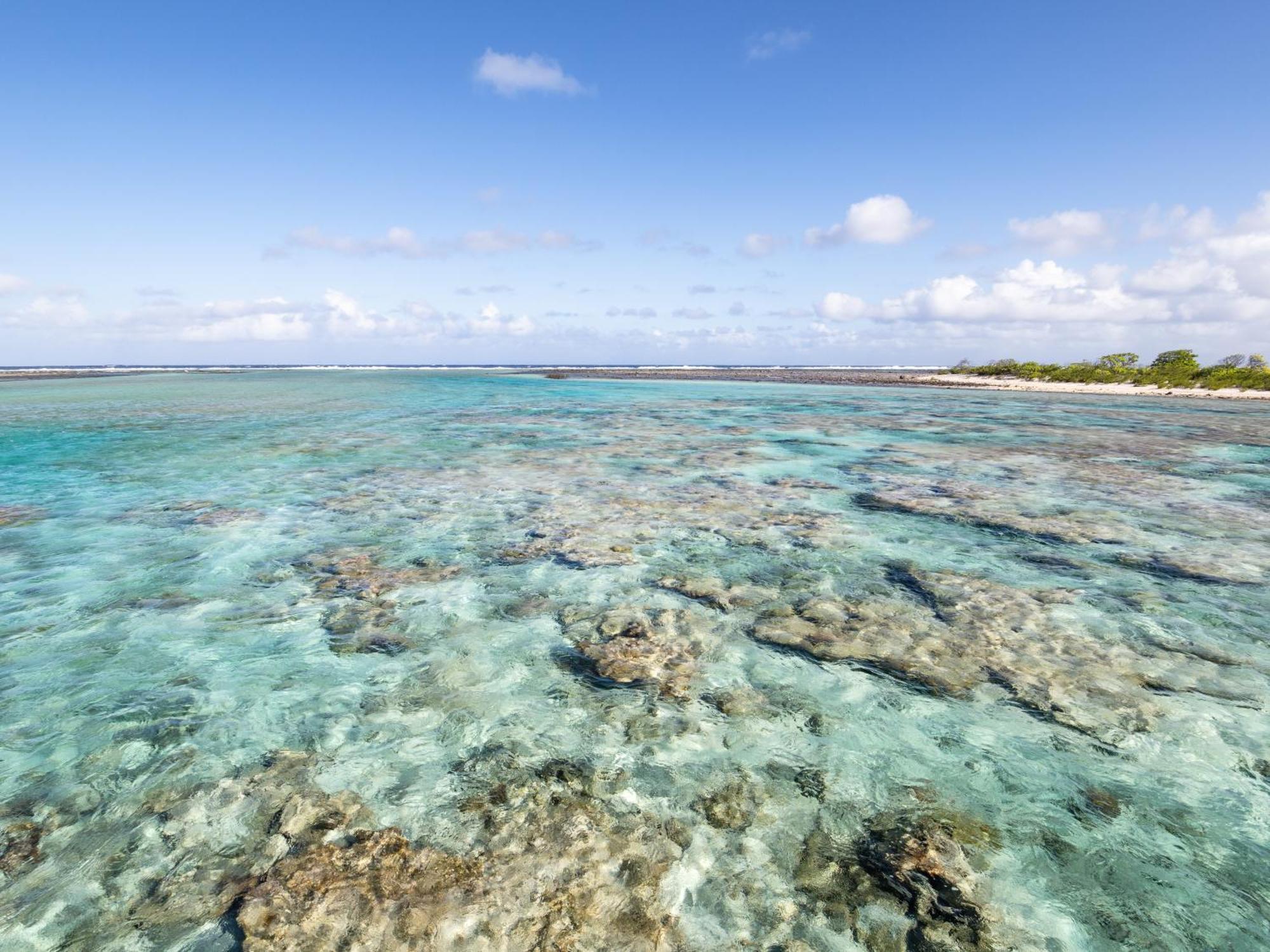 Le Tikehau By Pearl Resorts Esterno foto